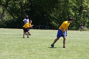 OTFL Gallery Image